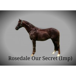 Rosedale Our Secret