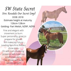 SW State Secret-For Sale