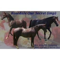 Rosedale Our Secret